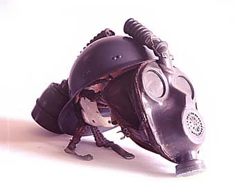 451803d8.jpg (12585 Byte)